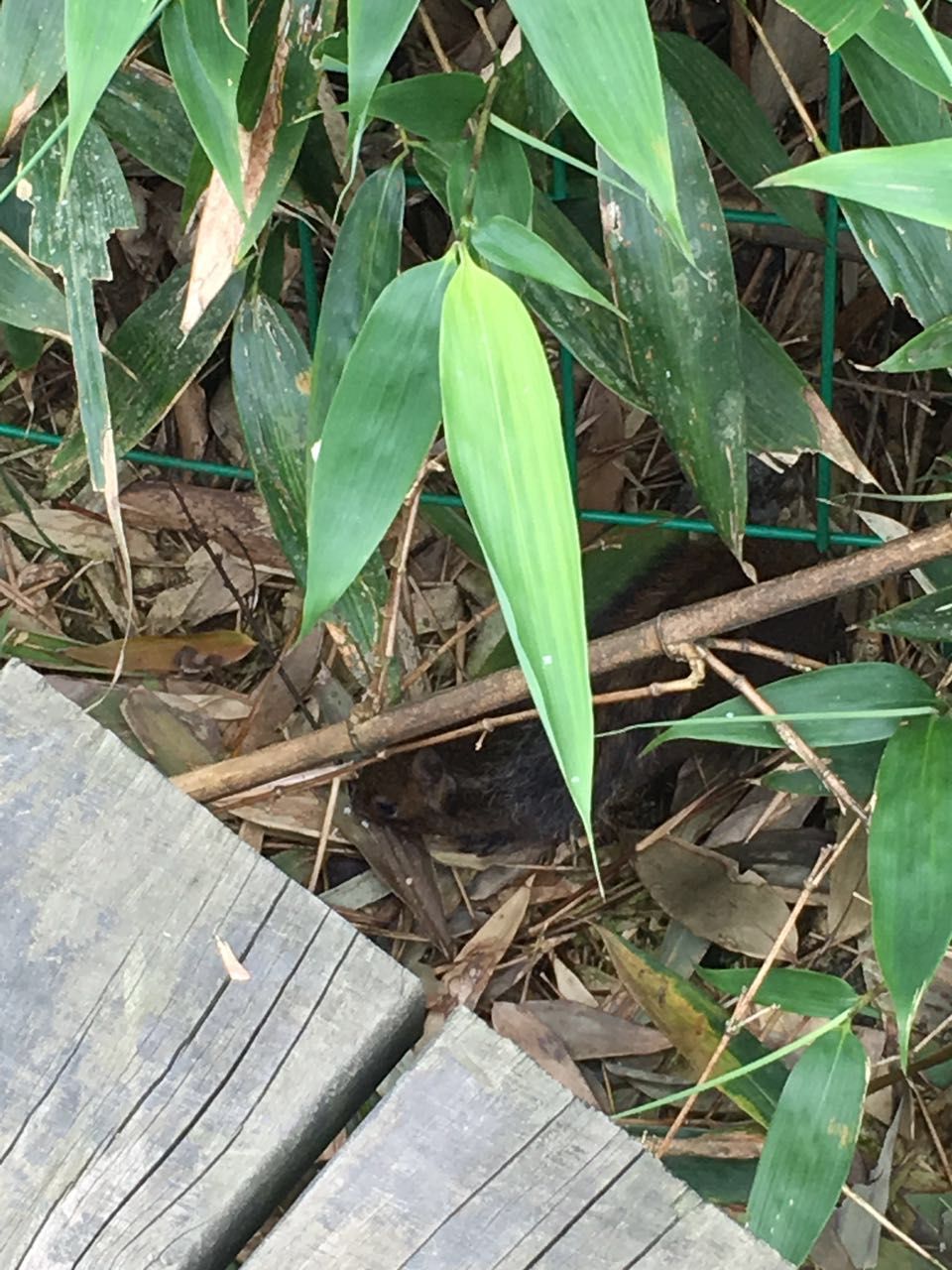 佛山刺激的游乐项目一日游,佛山一日游最刺激的地方