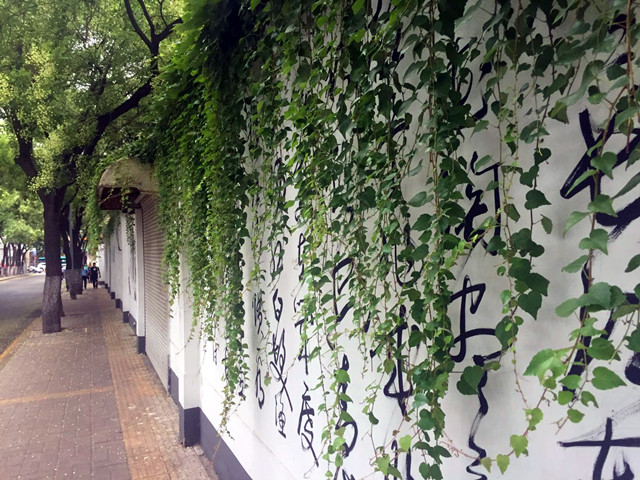 济南现在最“香”的一条街,在东部老城区,花香满地