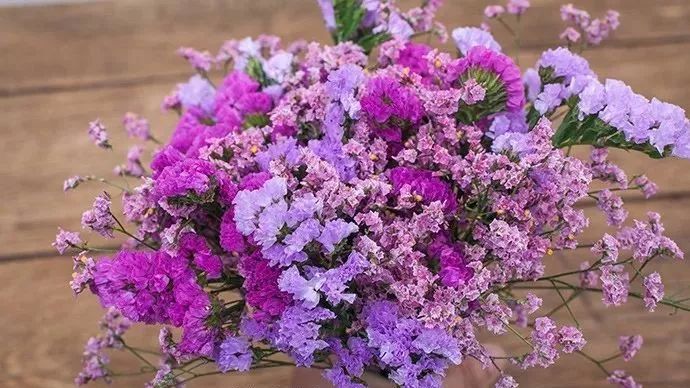 勿忘我花束制作方法超简单,自制勿忘我花束包装教程