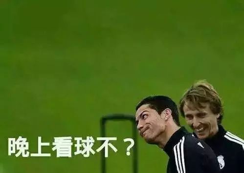 世界杯神虾“波波”，预测准确率80%以上！