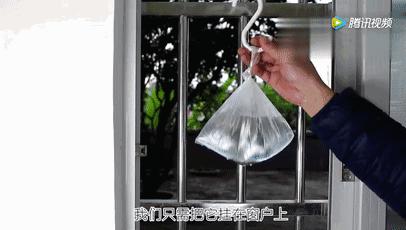 洗衣粉消除蟑螂,一勺洗衣粉家里蟑螂蚊虫全消灭