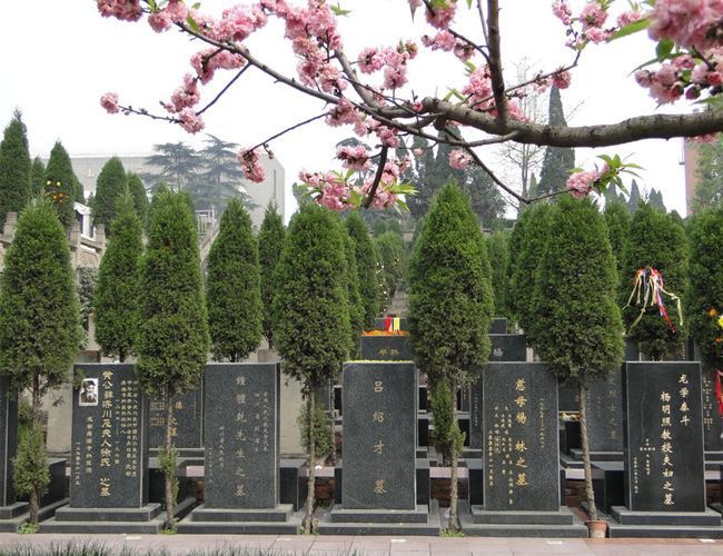 农村墓碑的讲究和忌讳,家庭墓碑的讲究与禁忌