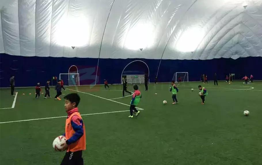 锦湖说世界杯：带你胡侃世界杯之三喵军团（爆笑图文，不容错过）