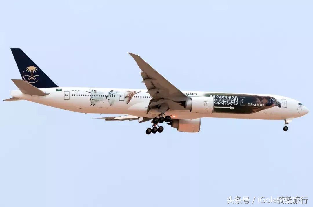 世界杯球队到达赛场,世界杯是要坐飞机去参赛地点吗