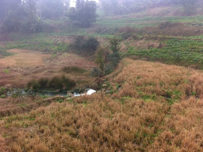 朋友讲述自己经历的灵异故事,亲戚朋友讲述真实经历