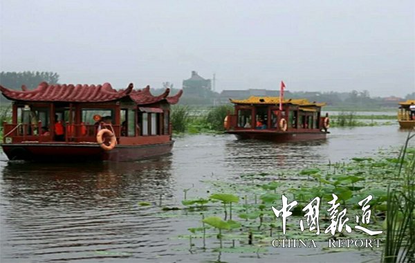 中国淮阳龙湖赏荷旅游月活动启动,周口淮阳旅游景点荷花节