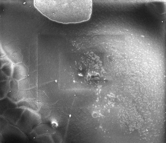 微观世界|这样的世界杯,你见过吗?