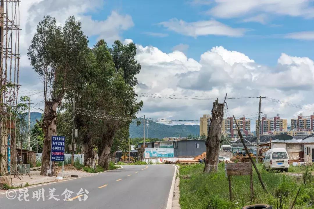 昆明野生菌苍蝇馆子,昆明比较高端的野生菌餐厅
