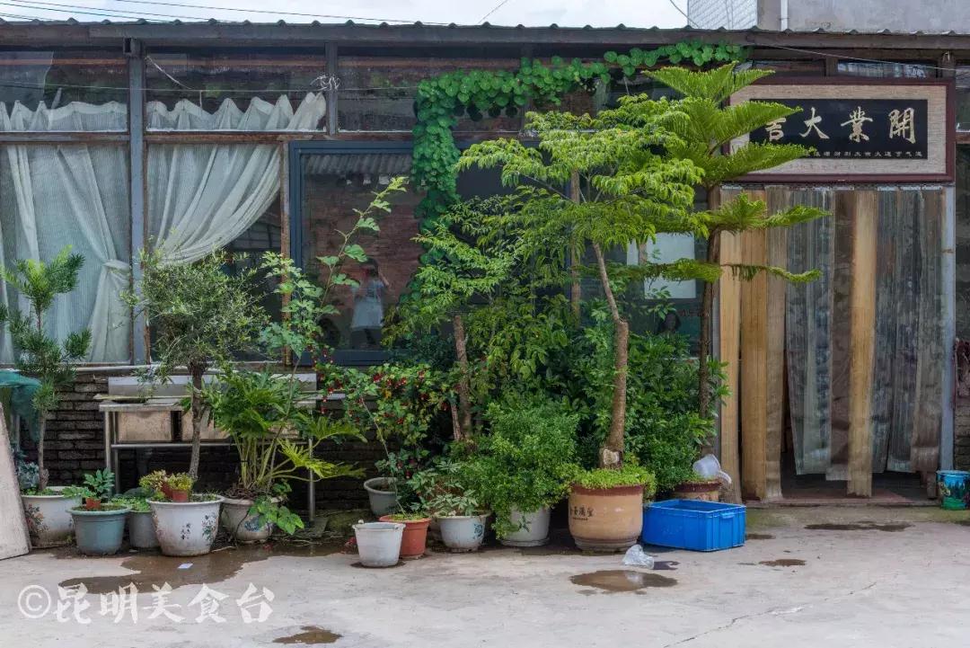 昆明野生菌苍蝇馆子,昆明比较高端的野生菌餐厅