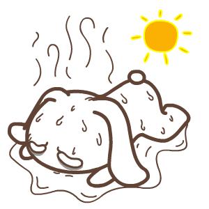 适合一年四季用的平价防晒霜,好用巨冷门防晒霜推荐一下