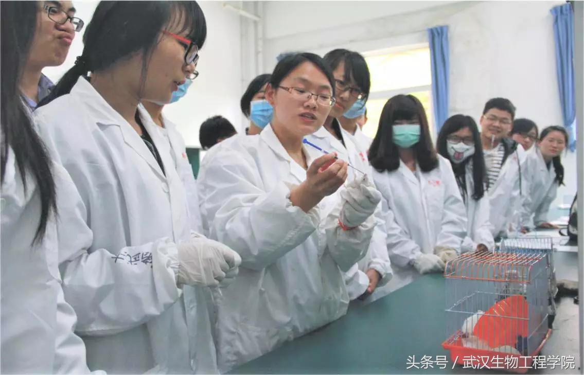 我不是药神只是个父亲,我不是药神大神