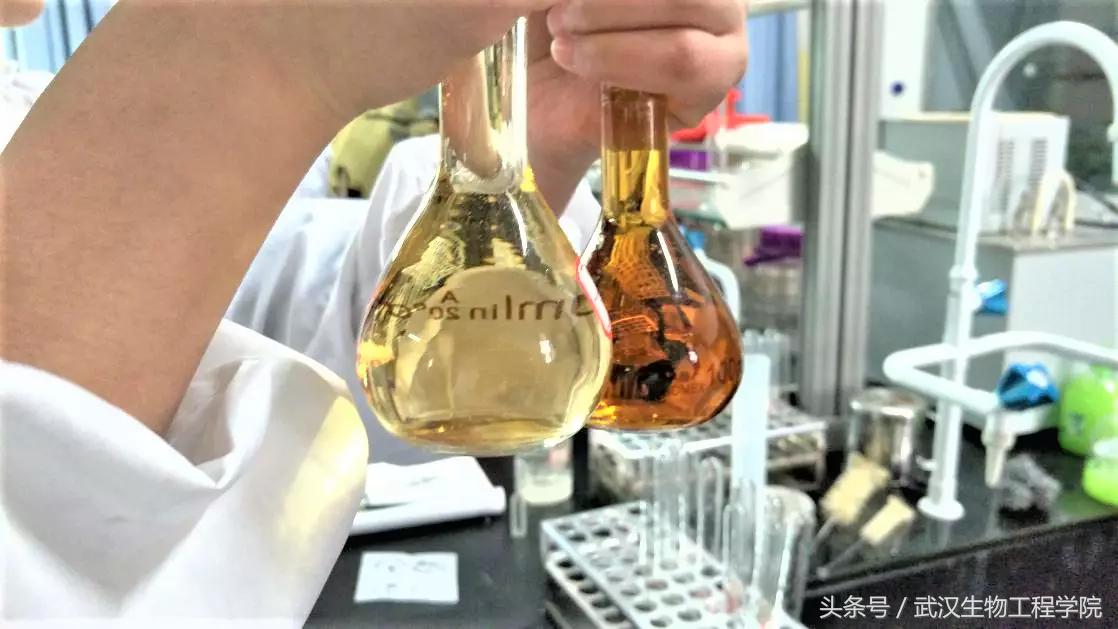 我不是药神只是个父亲,我不是药神大神