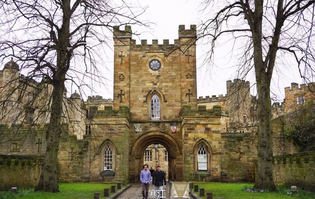 百万网红的浏览量,百万个网红打卡