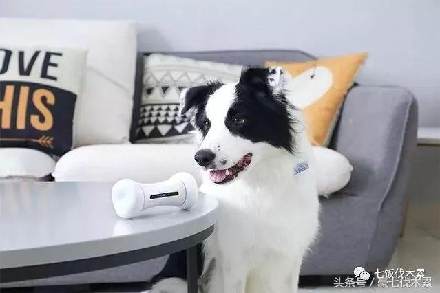 可发声玩具狗狗,会说话的宠物玩具耐咬解闷神器