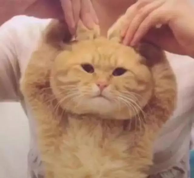 香港查获假药新闻,最近香港查获的假药有哪些