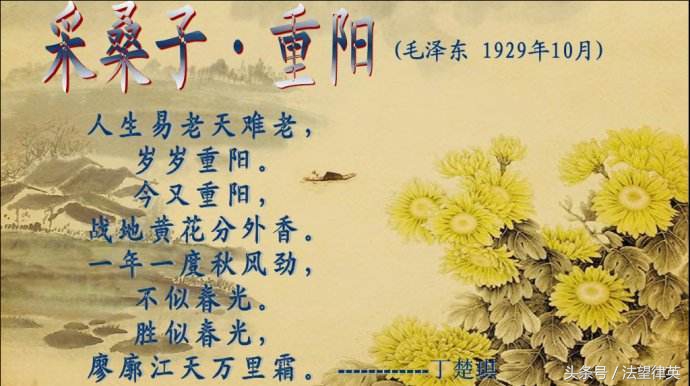 豪情吟重阳，战地黄花香毛主席的一首《采桑子》令人荡气回肠