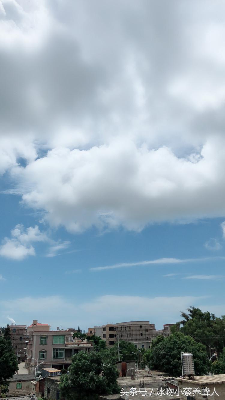 怎么有效的喂蜂水,怎么自己做诱蜂水