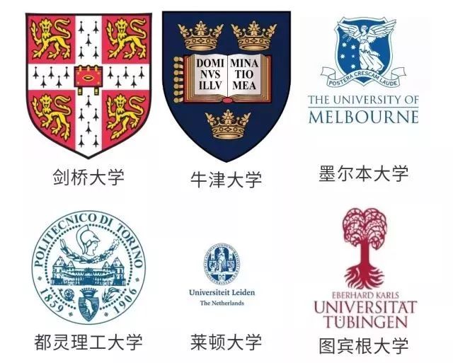 名牌大学世界杯,各高校世界杯