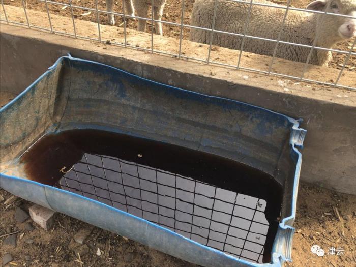 津云调查最新一期视频,津云调查