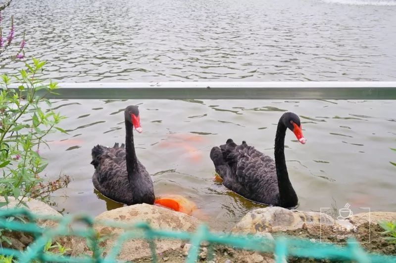 北京春晖园温泉度假酒店预订价格,春晖园温泉度假酒店门市价格多少