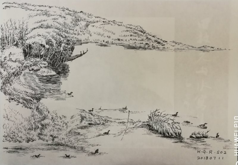 幸福原创画吧画友（7月11日）习作分享