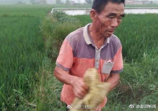 工信部24号文,工信部24小时