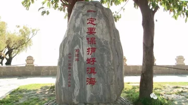 人民日报报道洱海治理,大理洱海的治理办法