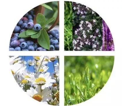 告别小尴尬~日本女*爱性**用好物,抹一抹4周白嫩如少女!