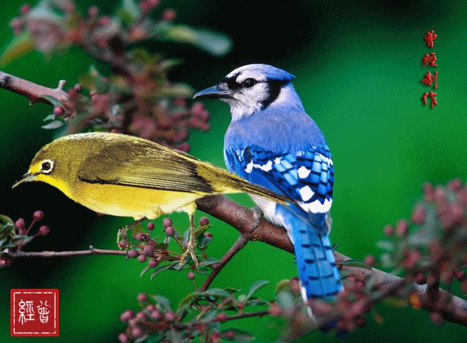 10月16，观音赐福了，快接住，谁打开谁幸福，福福福福福福福福