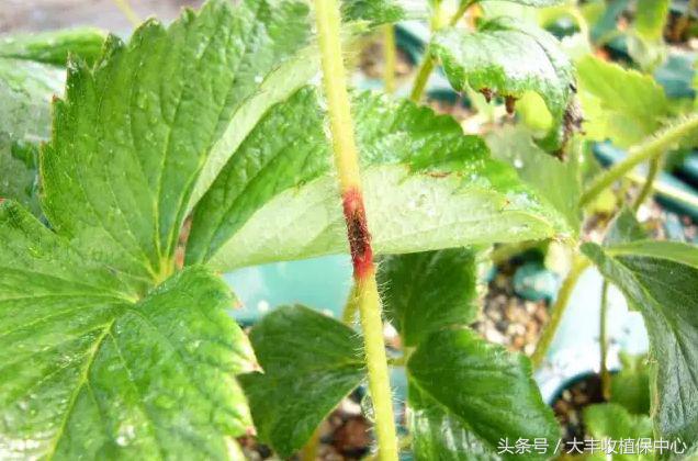 做到这7点疾病远离你,做到这7点让心血管健康一辈子