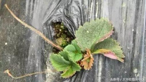 做到这7点疾病远离你,做到这7点让心血管健康一辈子