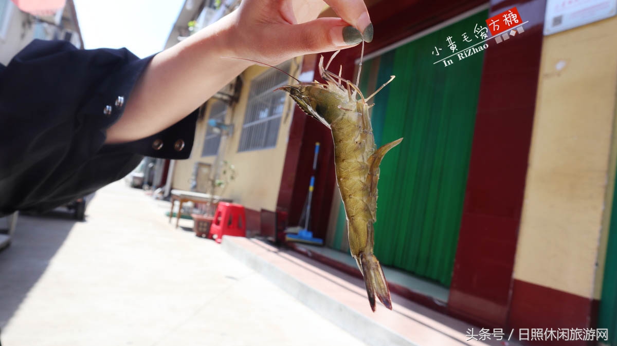 日照浴场海鲜攻略,日照海滨浴场旅游攻略