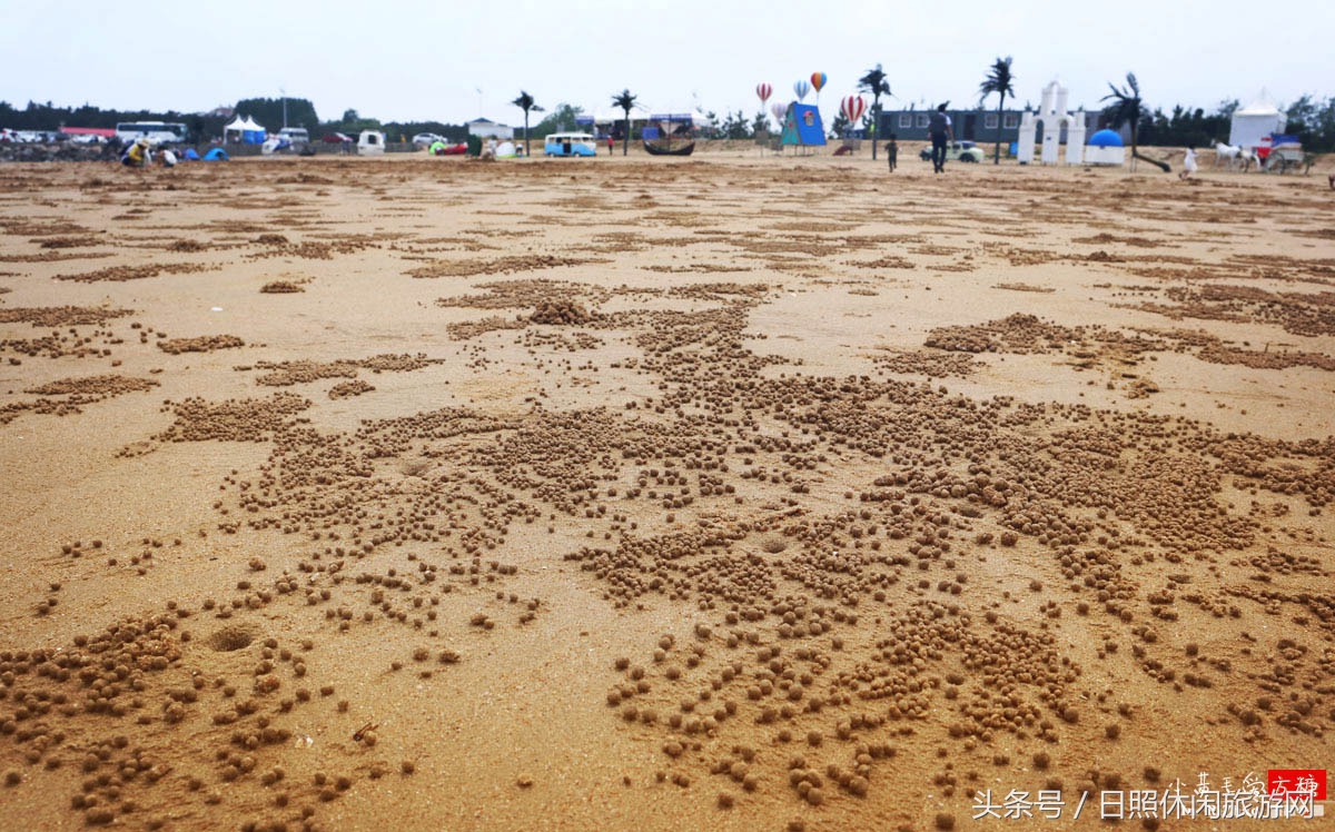 日照浴场海鲜攻略,日照海滨浴场旅游攻略