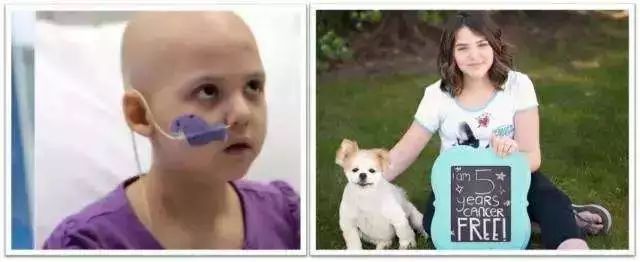 肿瘤细胞免疫治疗是什么,细胞免疫治疗视频大全