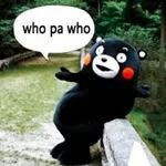 旅游走过最长的路骗局,旅游是说走就走还是做好攻略