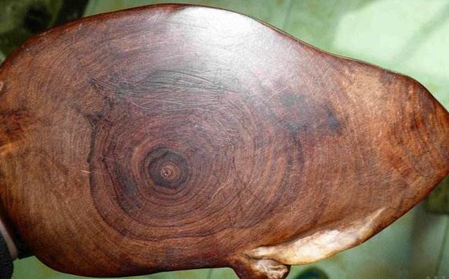 黄花梨的秘密有哪些,一字之差天壤之别谁说的