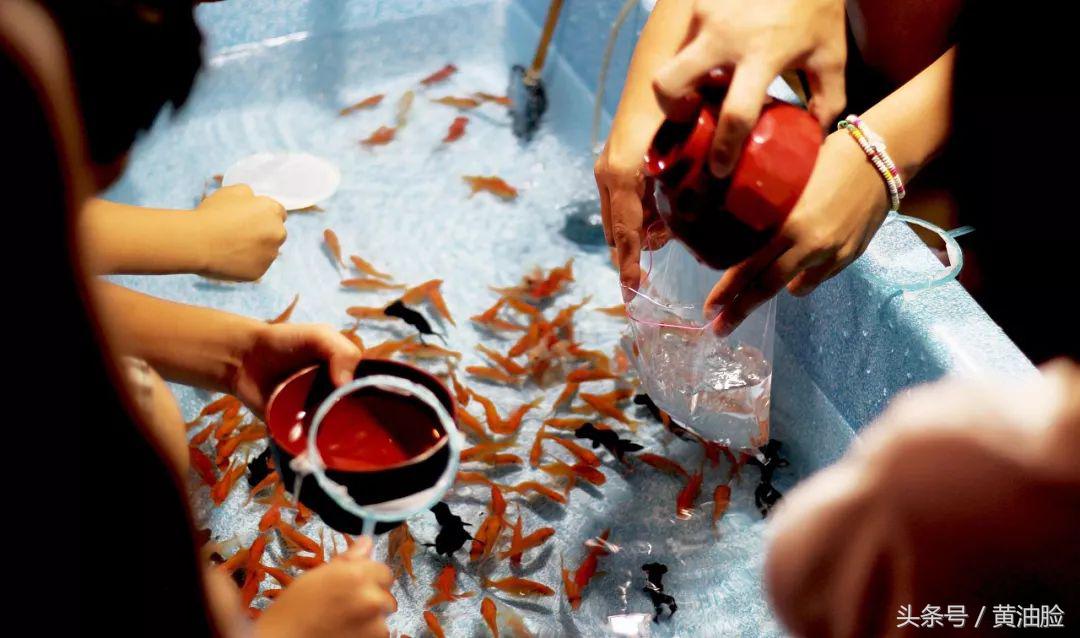 日本东京花火大会,日本镰仓花火大会