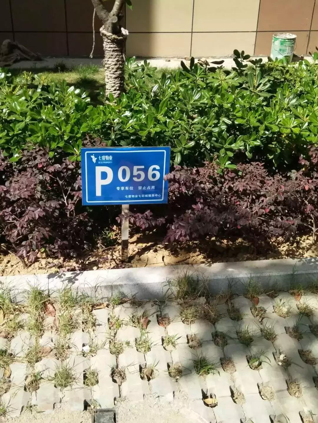 阜阳最贵的车位,阜阳市买房车位最高多少钱