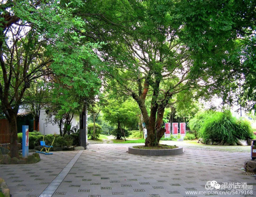 南白象塔全景图,南白象公园