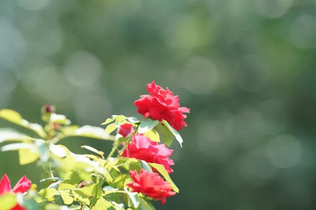 有了它再也不担心熬夜,有了它不愁吃不愁穿