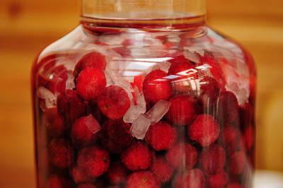 杨梅酒适合什么时候酿酒,酿酒技术杨梅酒制作方法