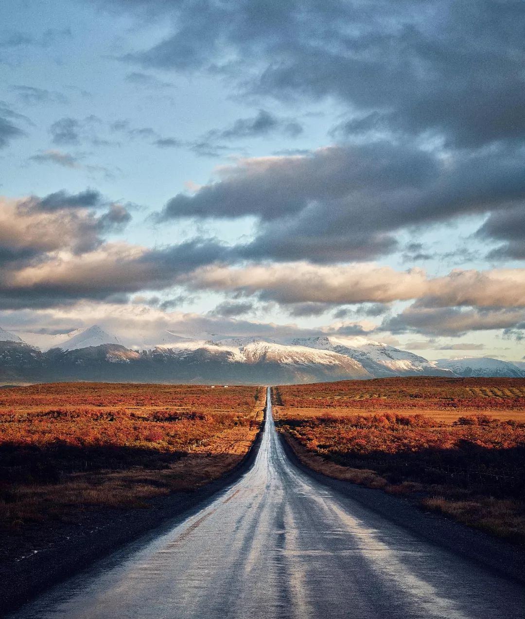 巴塔哥尼亚一个因为遥远又荒凉的地方