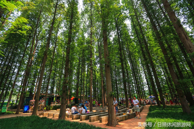 日照的风景真美,日照的景色真美