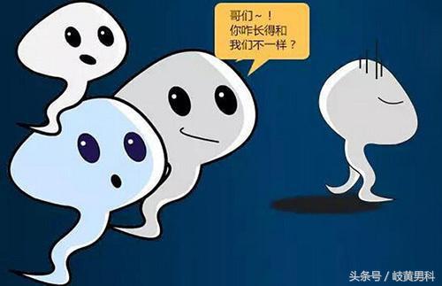 精子分析怎么做的,精子分析怎么操作