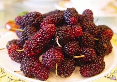 不同年龄段的童年回忆,你们的童年回忆是什么样