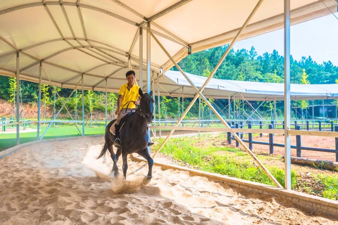 世外桃源在于修心的地方,栖身于江南美景