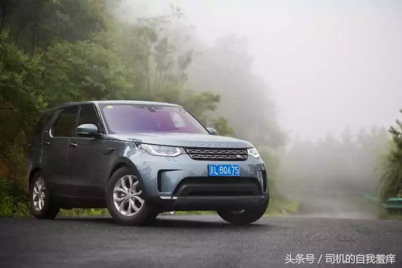 如果你想体验征服感，那养一头猛虎应该是不错的选择