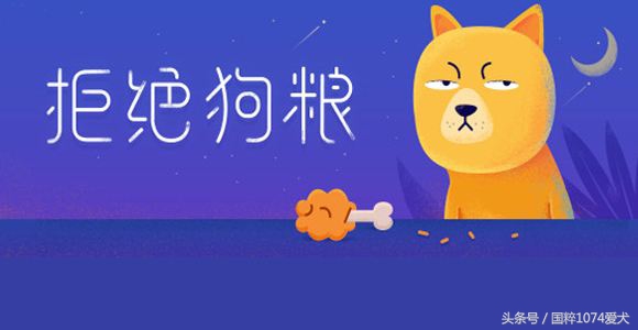 老龄狗适合的狗粮,柯基狗适合吃什么牌子的狗粮