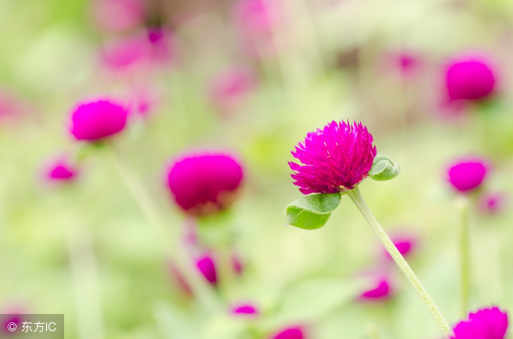 流水碧山长入句，余生仍做读书人：李冠群—纷扰红尘，携一缕墨香