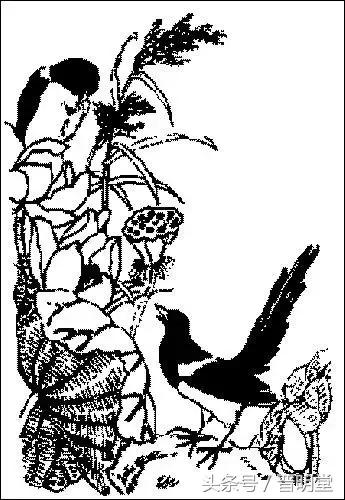 中国传统吉祥图案解读,精美的中国传统吉祥图案